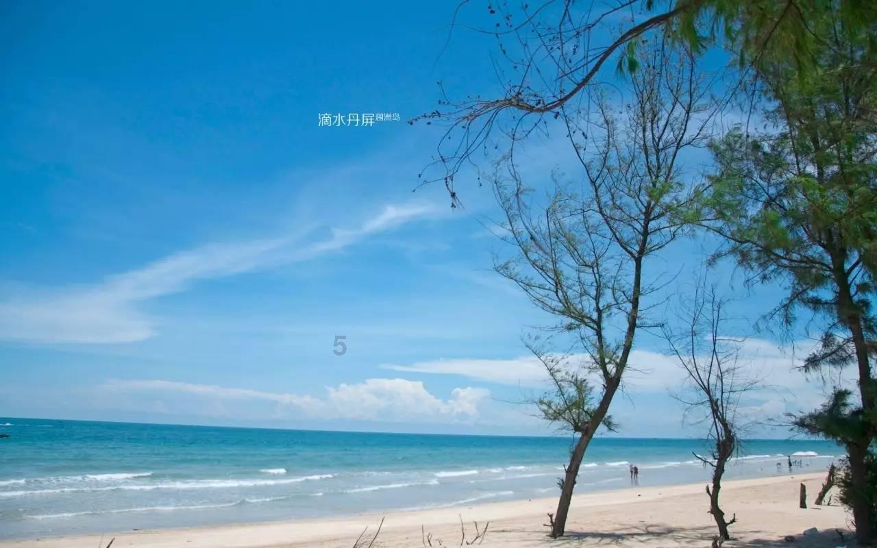 因妻子犯错，前中国速滑队教练安贤洙道歉，他和妻子的损失有多严重？游戏画面